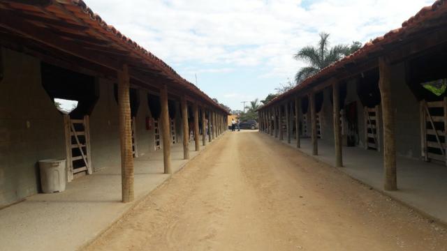 Haras 45 Ha Esmeraldas - Foto 5