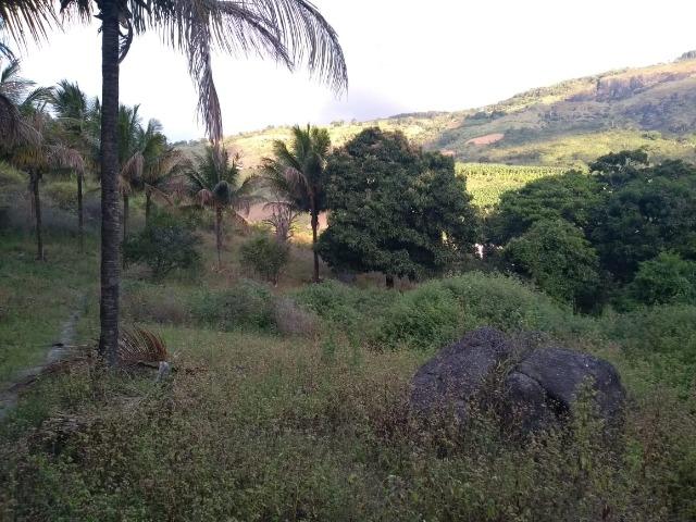 Excelente propriedade de 33 hectares, escriturada e registrada, em Bonito-PE - Foto 8