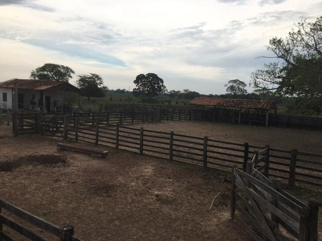 Fazenda 9.715 hectares no pantanal de Poconé MT - Foto 17