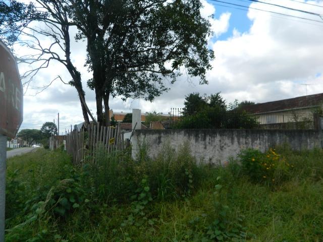 Terreno no Hauer - Foto 4