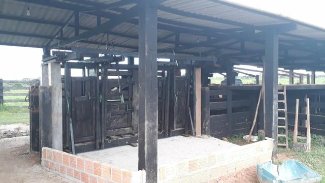 Fazenda no Acre - Foto 8