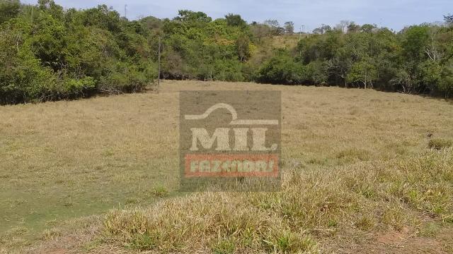 Oportunidade chácara, sítio 4 Hidrolândia/Aragoiania - Foto 14