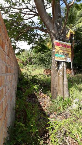 Vendo terreno na Vila de Cuiarana - Foto 5