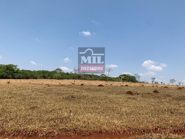 Chácara 10.5 Alqueires ( 50.82 ha ) Leopoldo de Bulhões-GO - Foto 5