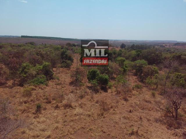 Chácara de 4.75 alqueires ( 23.05 ha ) Cristianópolis-GO - Foto 9