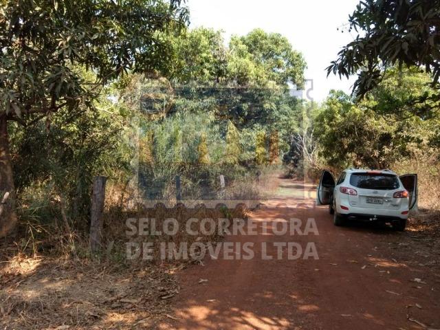 Otima Fazenda Muni. de Santo Antonio de Leveger a 20 km de Cuiabá - Foto 2
