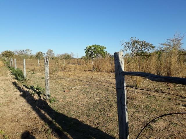 Chácara 04 hectares - Flores de Goiás - Foto 10