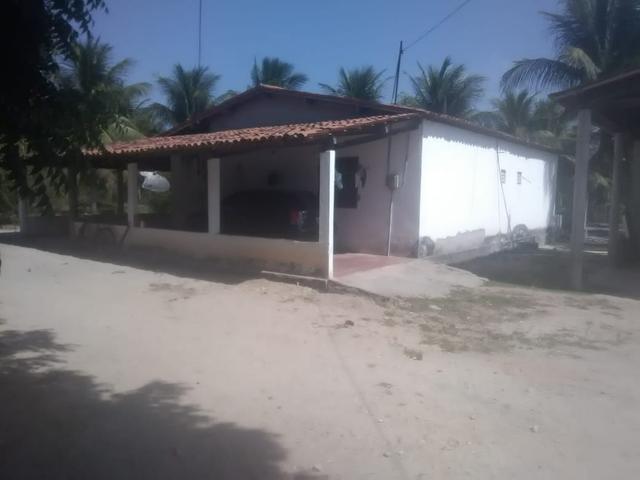 16 Ha irrigado Baixa Acaraú próximo do Marco - Foto 10