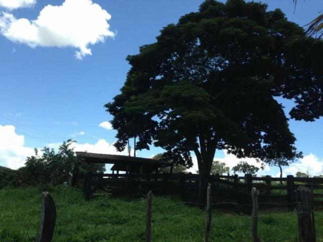 Chácara com para morar ou finais de semana. Casa com 3 Quartos à Venda, 21000 m² - Foto 8