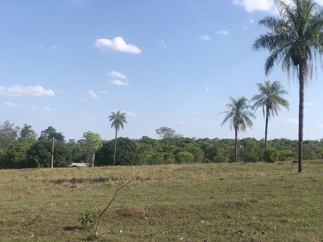 Vendo chácara próximo ao shopping bosque dos Ipês - Foto 4