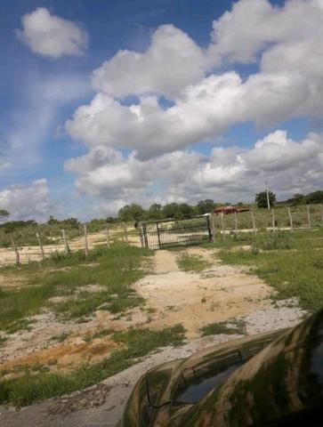 Fazenda rural em forquilha - Foto 16