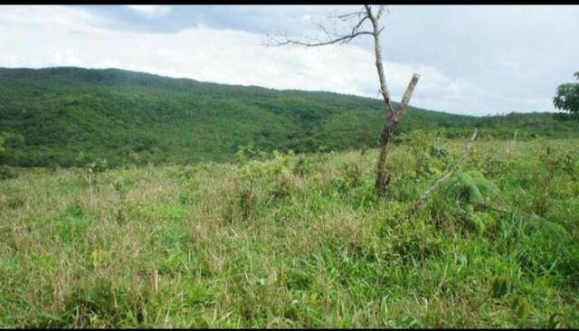 Fazenda 225 km de Goiânia município de Ipameri - Foto 9
