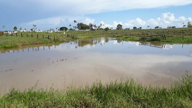 Fazenda no Acre - Foto 9
