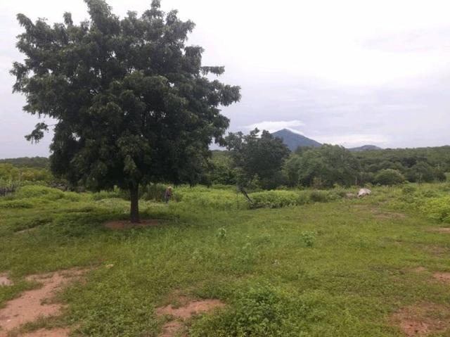 Fazenda rural em forquilha - Foto 2