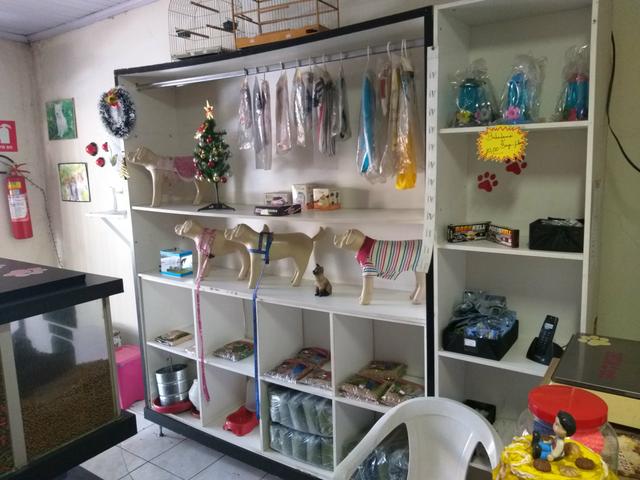 Pet Shop - Foto 2