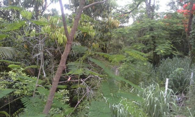 Vendo Terreno 12x30 em Itaboraí - aceito proposta - Foto 5