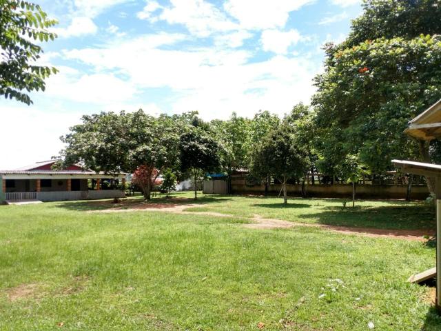 Área Rural (61 hectares) - Foto 2