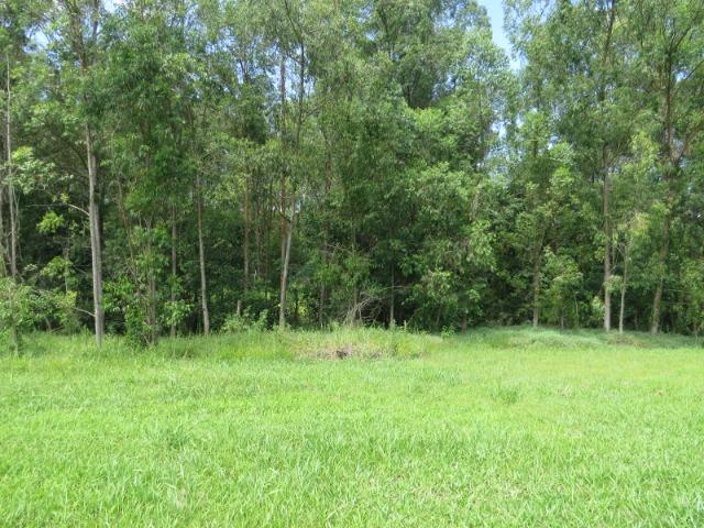Terreno ninho verde, com fundo para área verde, 450 m², Imobiliária Paletó - Foto 5