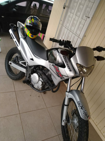 falcon grau