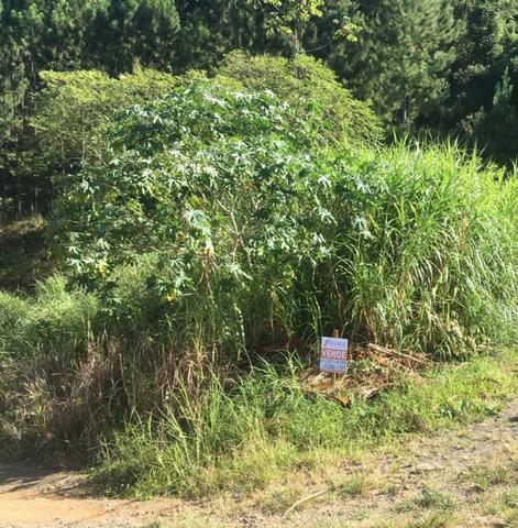 Terreno de Esquina - Nova Esperança - Foto 2