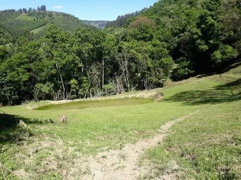Vendo sítio de 12 hectares (120.000 mil metros) - Foto 6