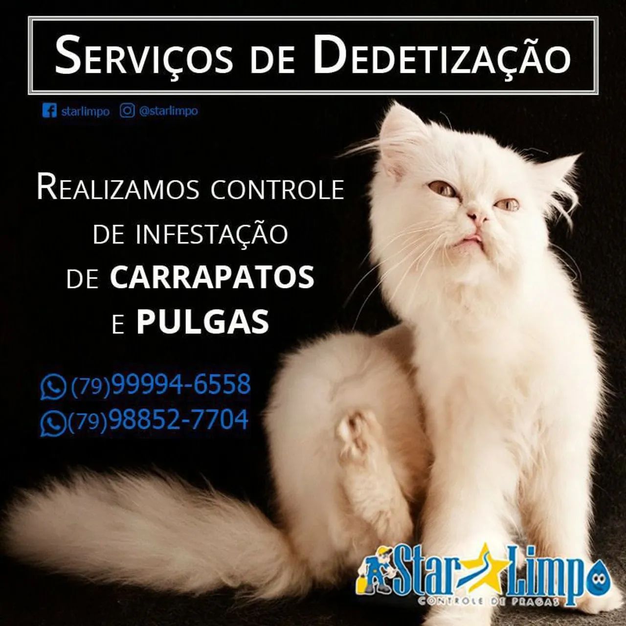 Starlimpo Dedetização 02/02/25 - Foto 4