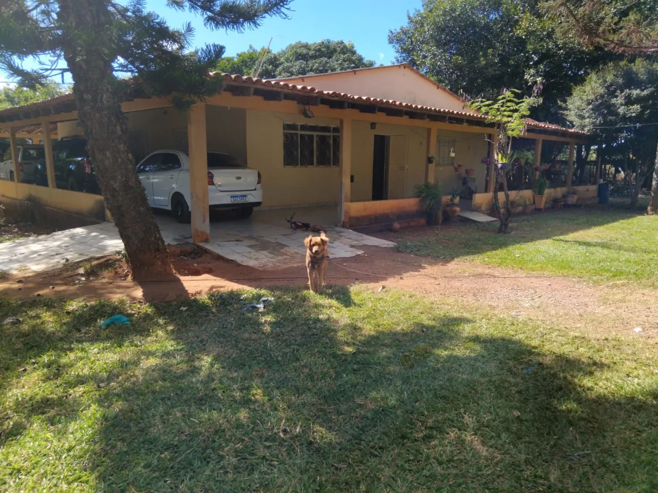 Chacara 4 qtos Brasília DF Lago oeste