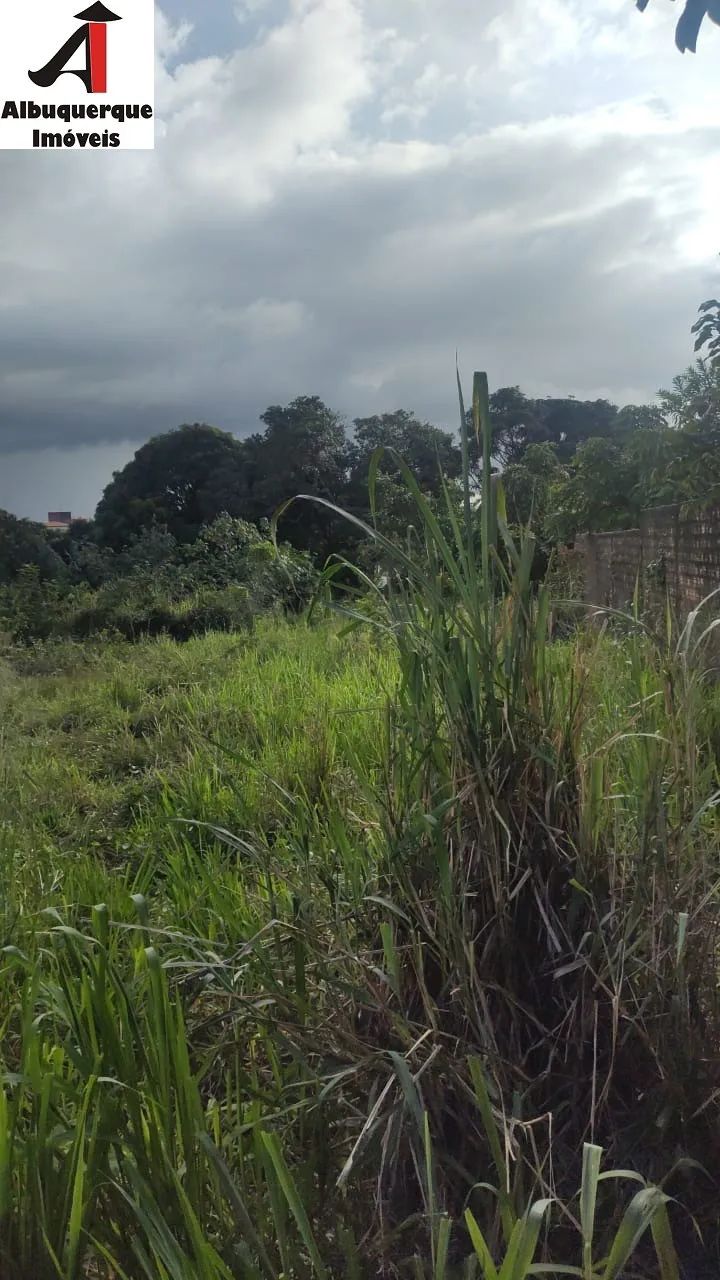 TERRENO RESIDENCIAL em SÃO LUÍS - MA, PARQUE ATHENAS - Foto 2