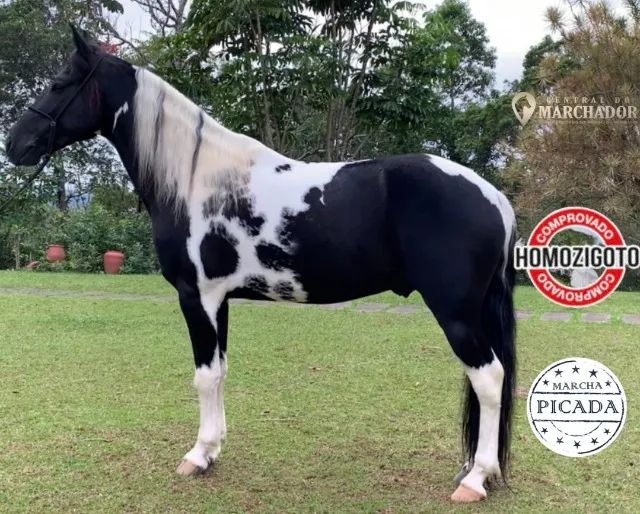 Super promoção de coberturas! Aproveite e garanta já a sua numa condição imperdível!