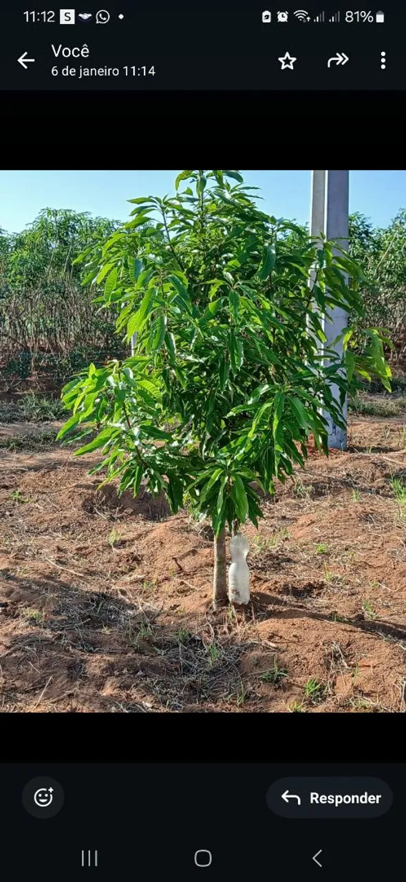 Vende-se terreno, ideal para chácara