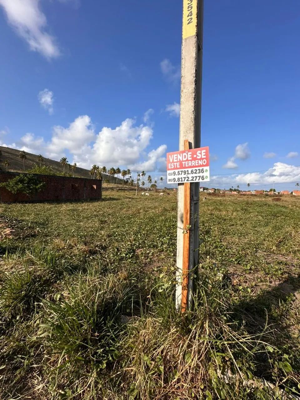 Vende se ou troca Terreno praia São José da Coroa Grande - Foto 4