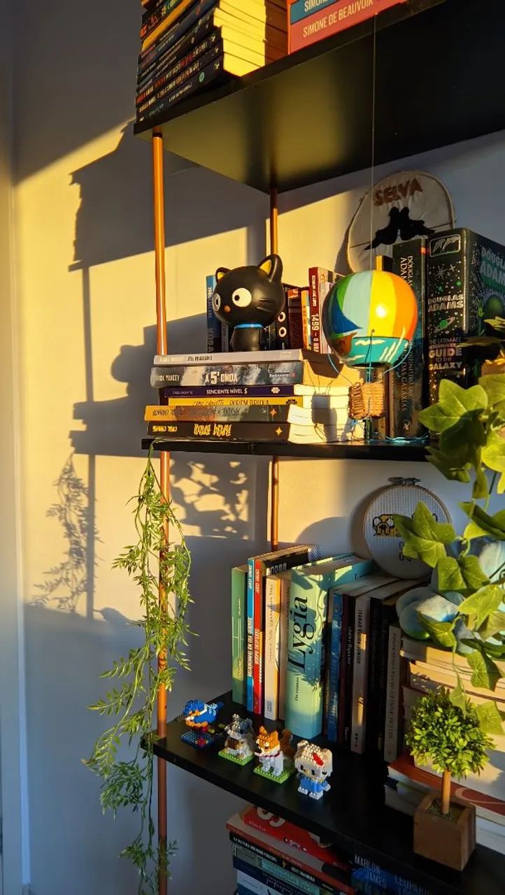 Shelf - PICKUP ONLY64330583923971121