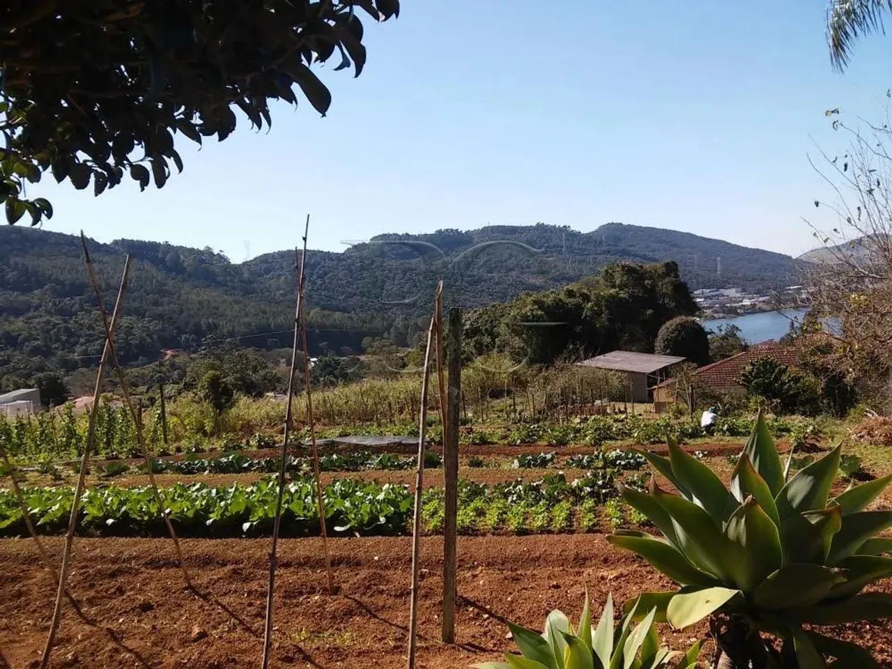 Rurais Chácara em Poços de Caldas - Foto 3