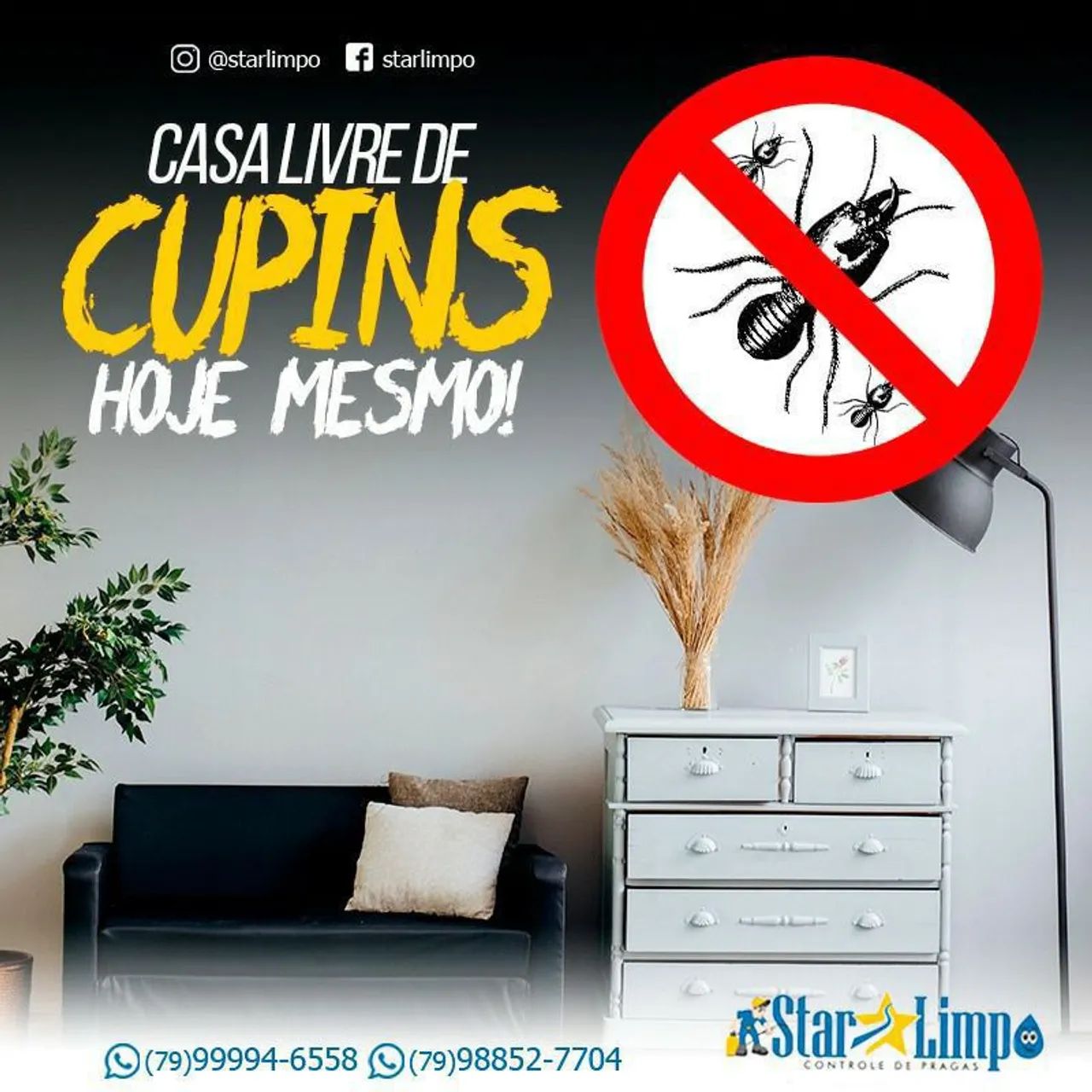 Starlimpo Dedetização 02/02/25 - Foto 2