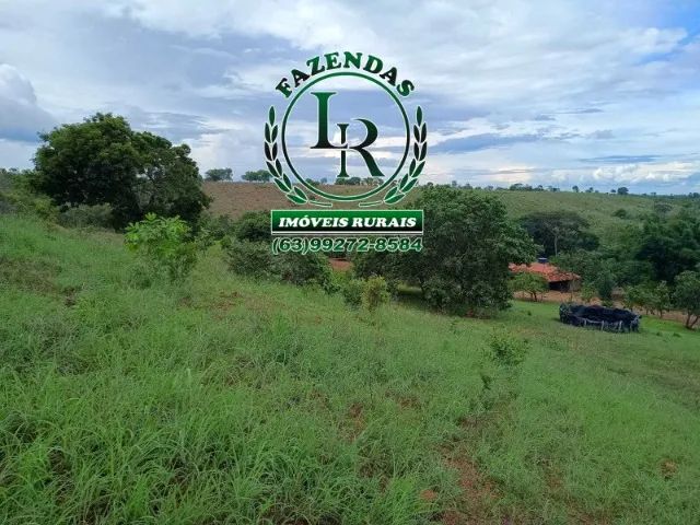 Fazenda 25 Alqueires  ( 121 hectares) Próximo a Palmas - Foto 3