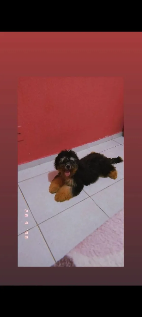 Vende-se