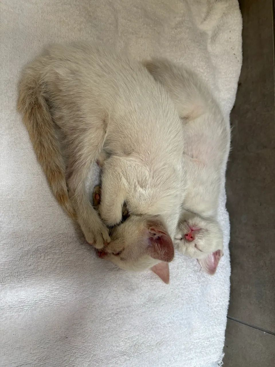 DOAÇÃO RESPONSÁVEL