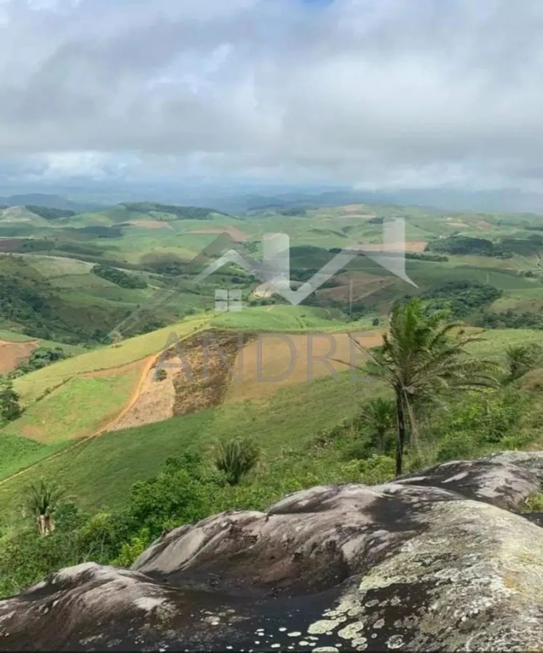 Área Rural para Venda em Amaraji, ENGENHO GULOSO - Foto 2