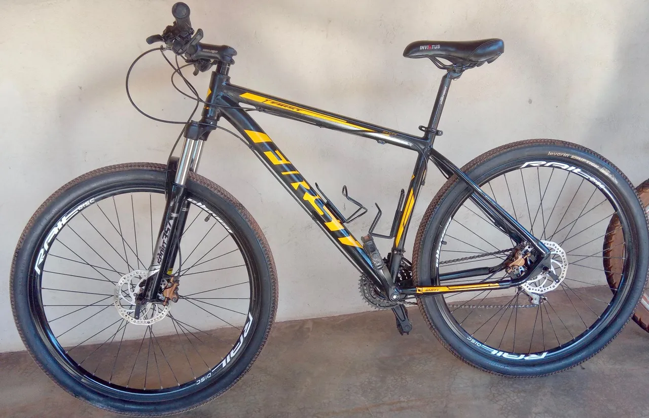 Bike Aro 29
