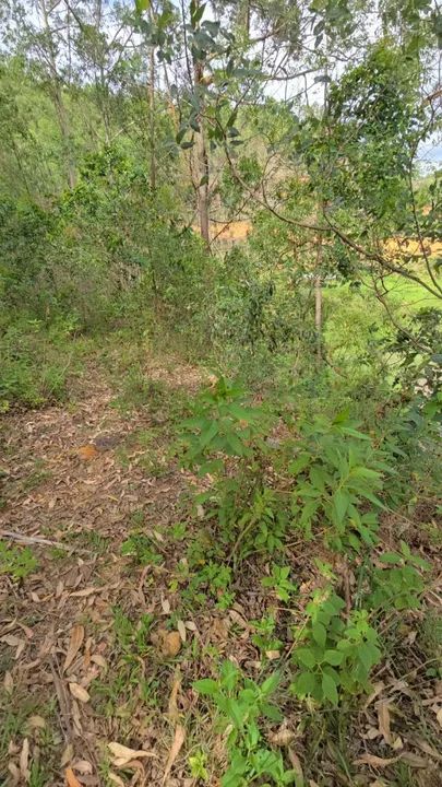 Black sítio  Encontre seu Refúgio Natural em Tijuco Preto, Domingos Martins