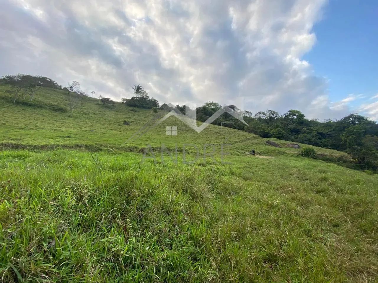Área Rural para Venda em Amaraji, ENGENHO GULOSO - Foto 4