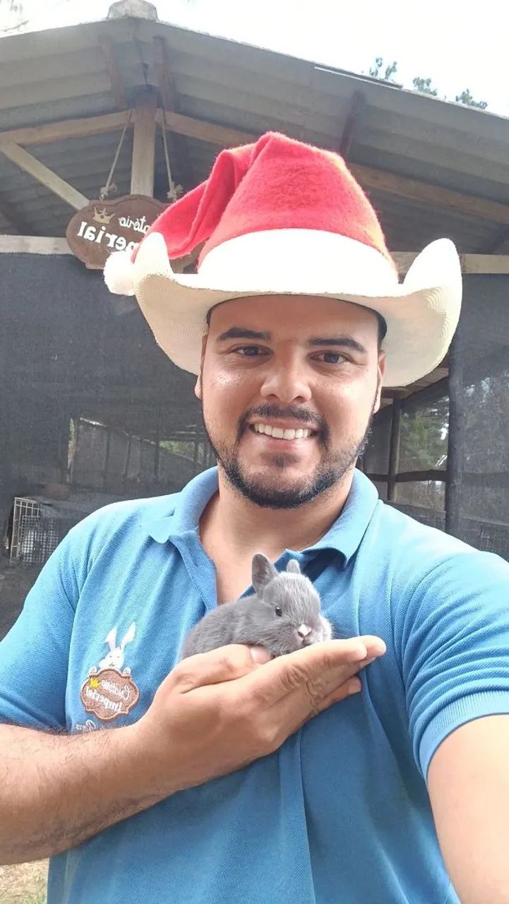 Netherland Dwarf - Coelho Anão - MENOR DO MUNDO