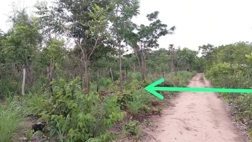Grande Terreno próximo ao Condomínio Village dos Pássaros em Timon
