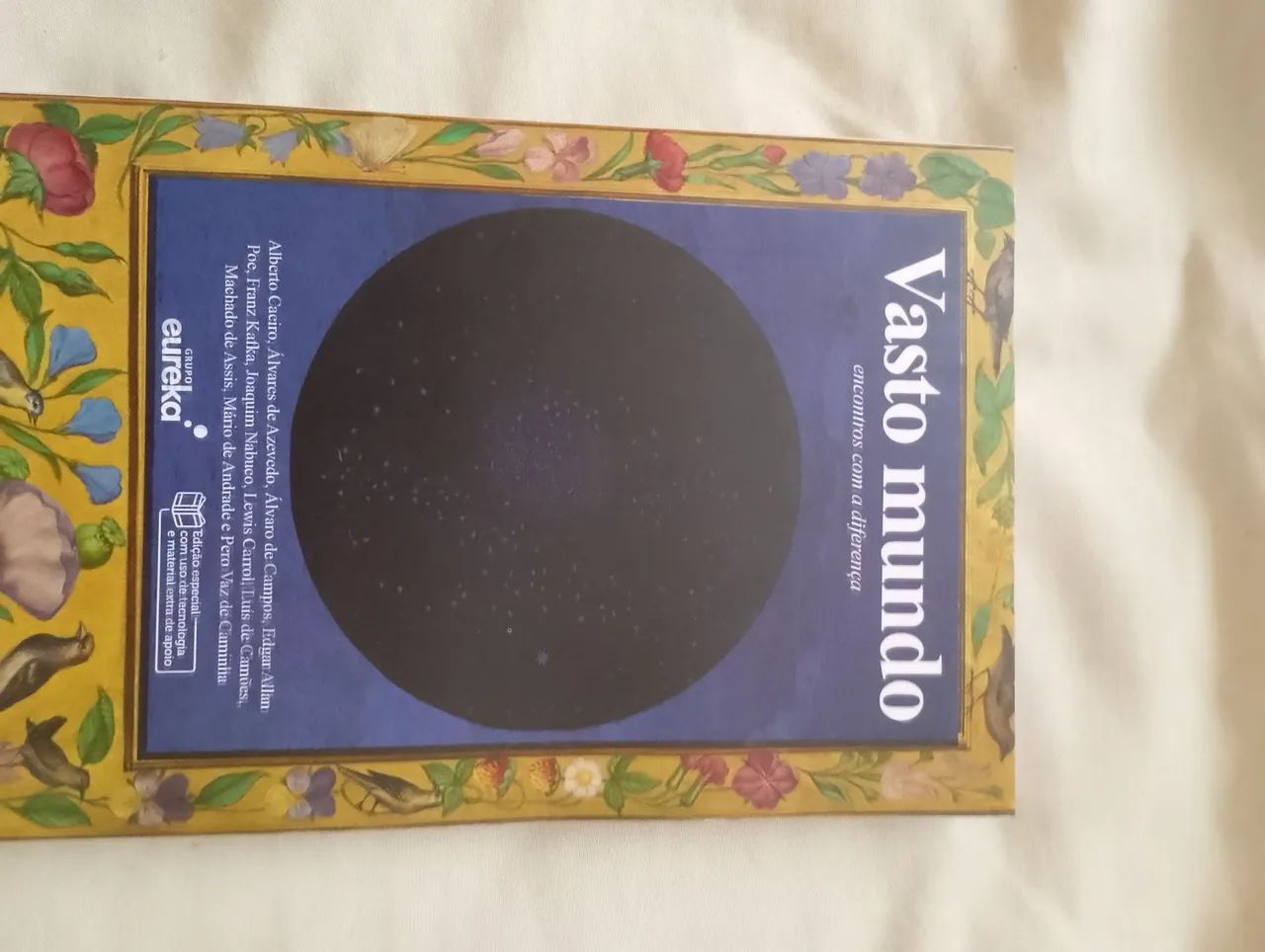 Visto Mundo encontro com as diferenças 