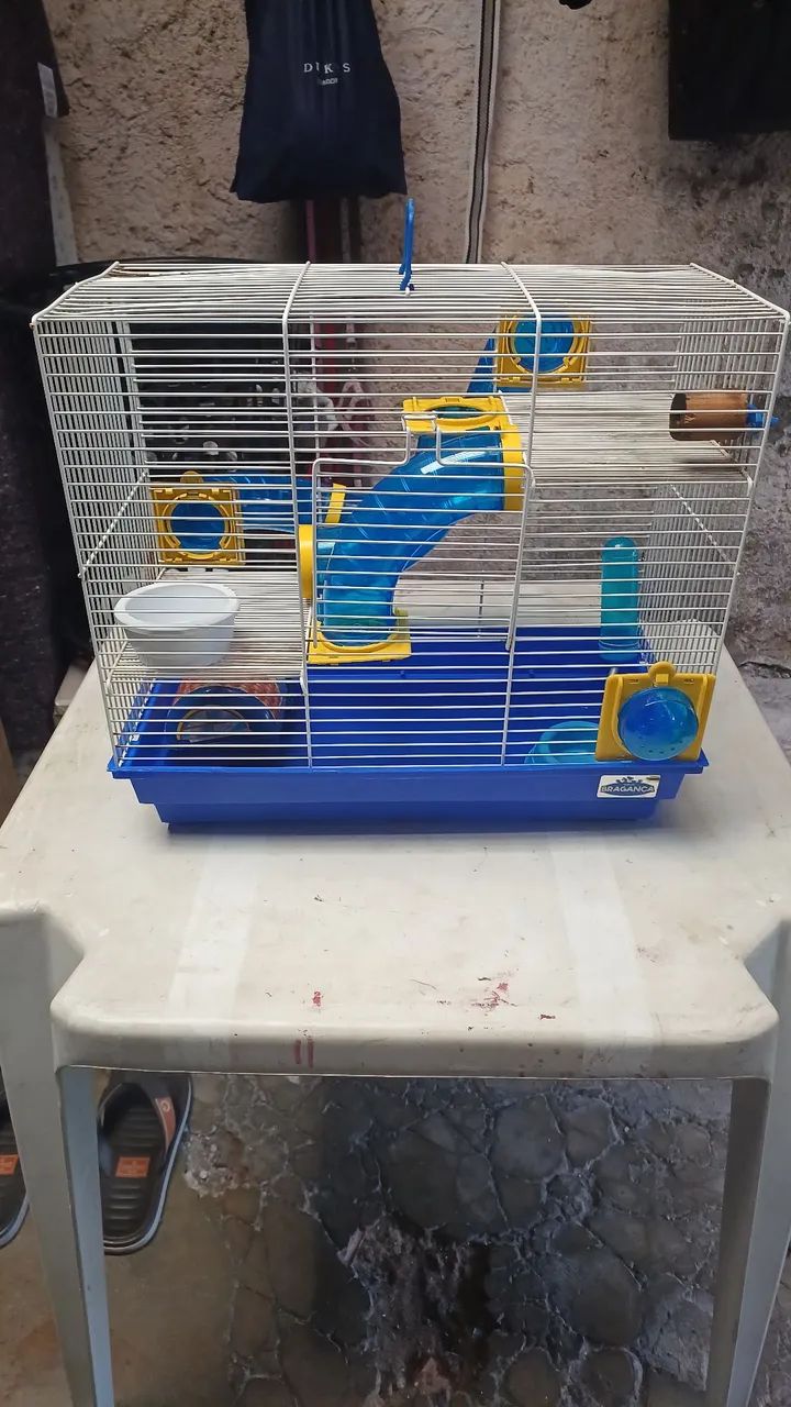 Gaiola de Hamister 64551629737858124