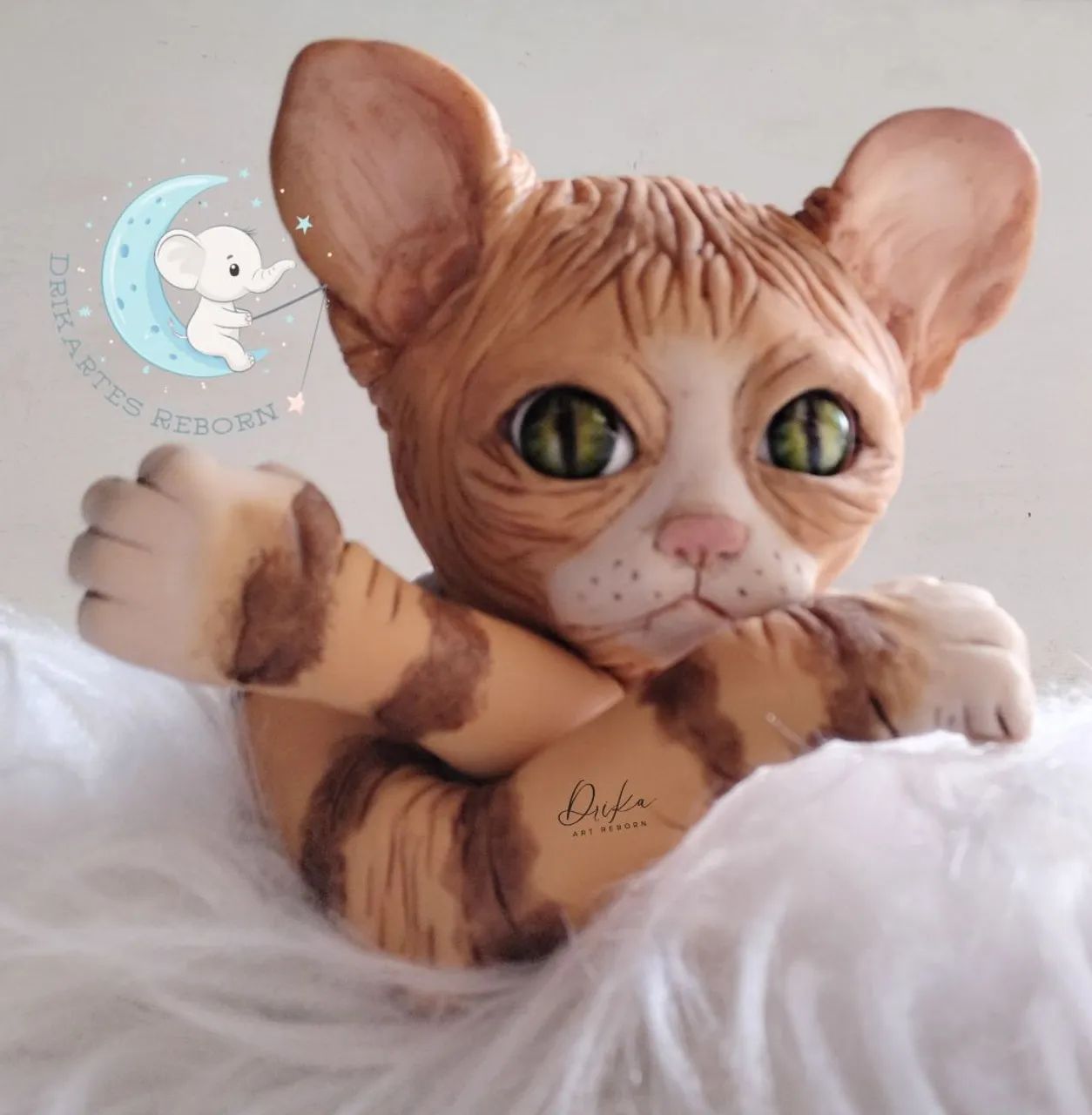 Gato reborn 