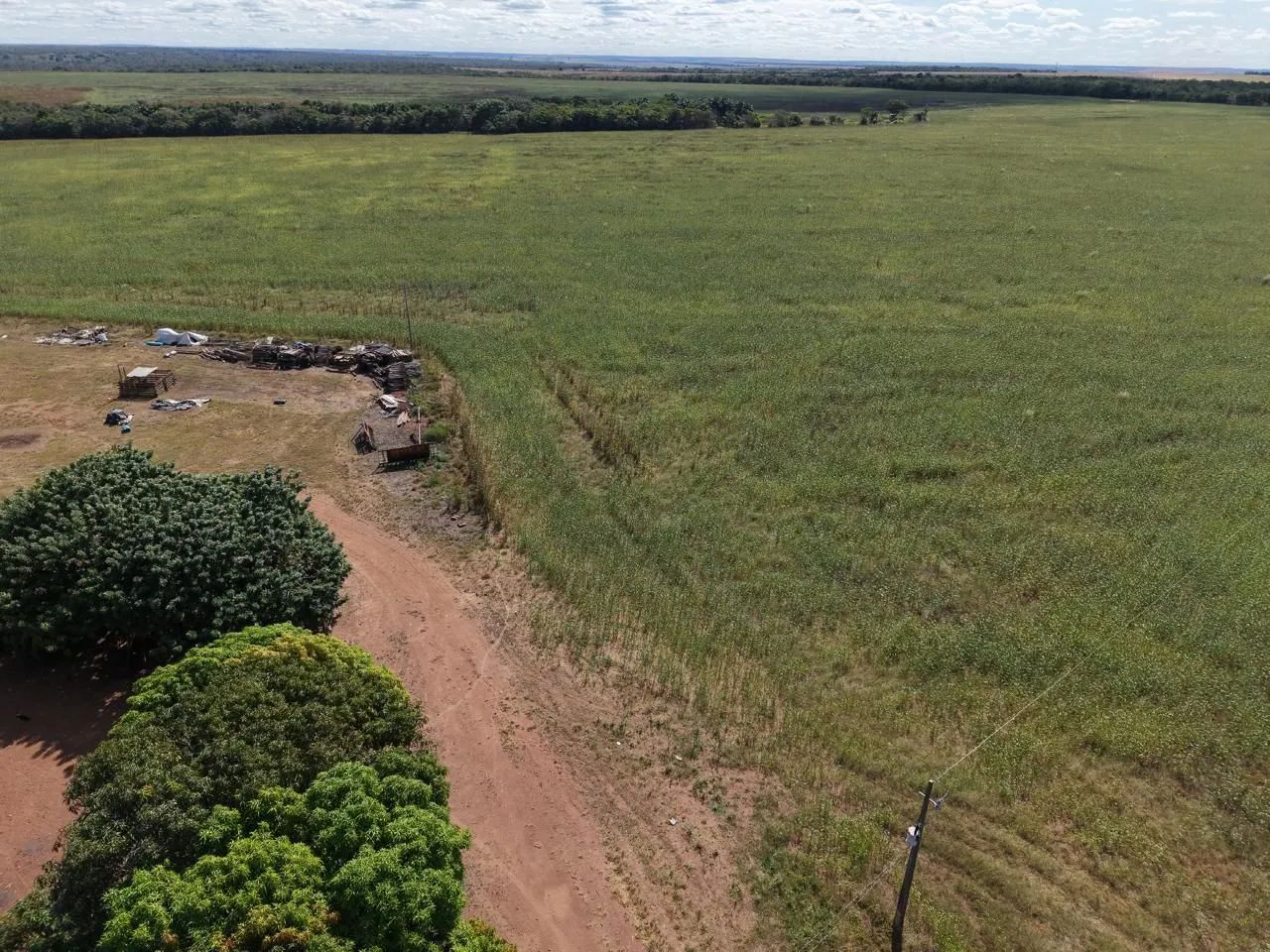 Fazenda de arrendamento 600hec em Canarana MT. - Foto 7