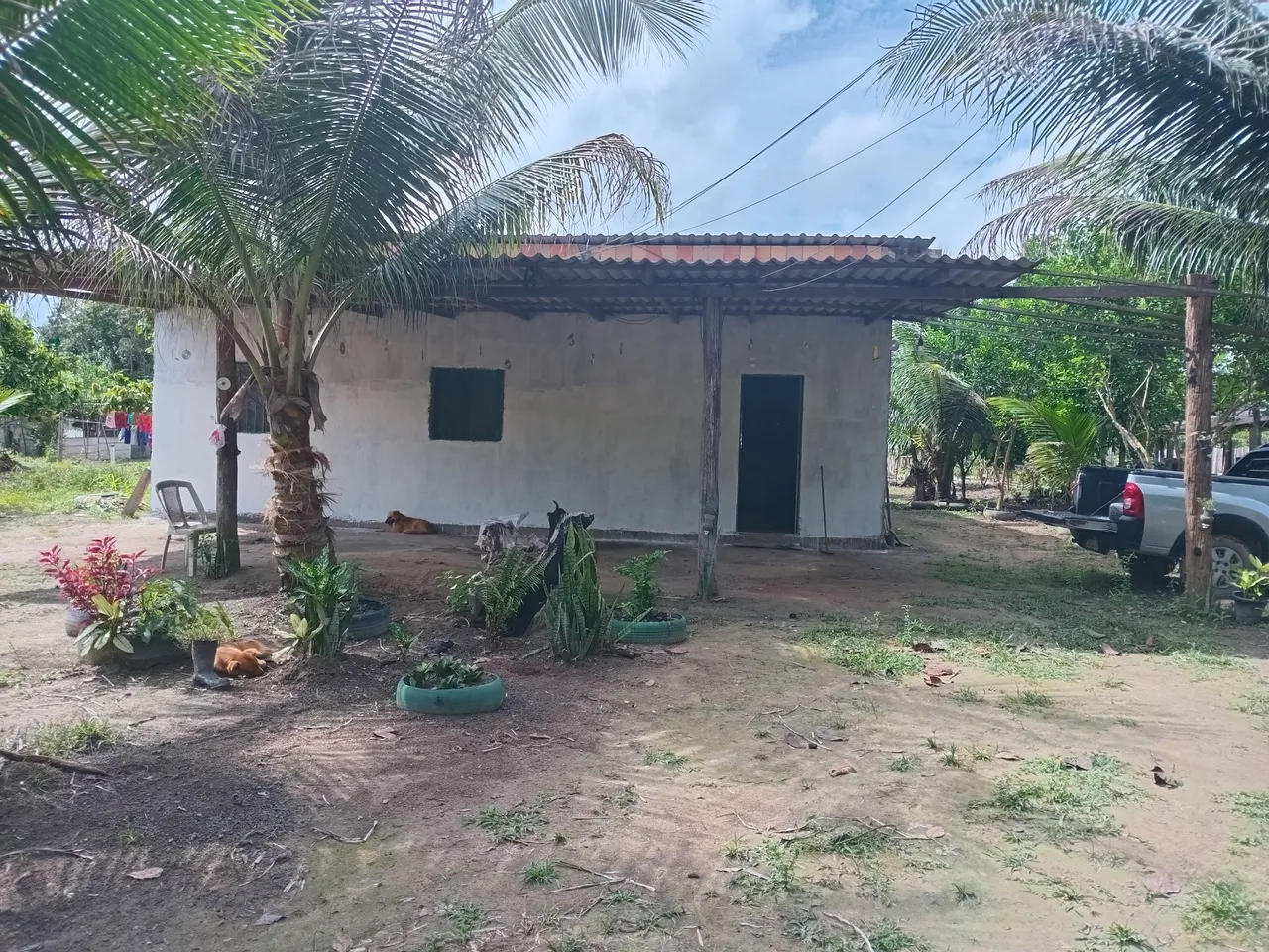 Sitio a venda em Manacapuru