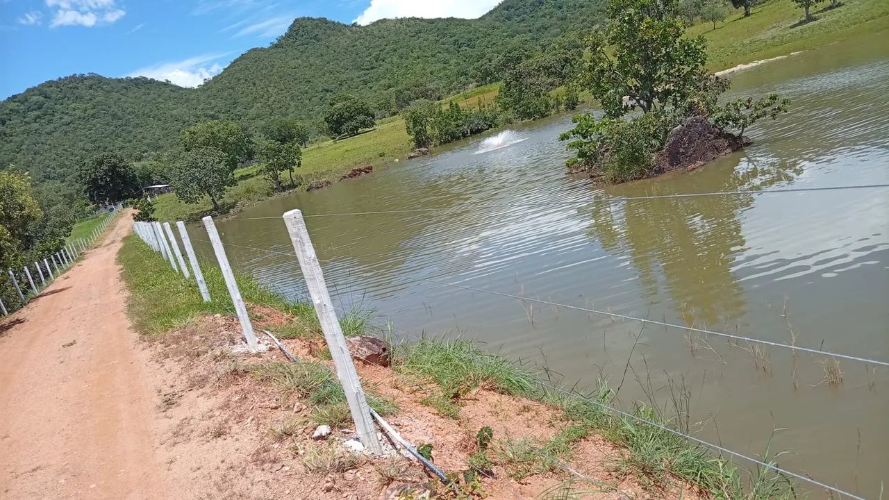 Contratamos jardineiro e pintores predial