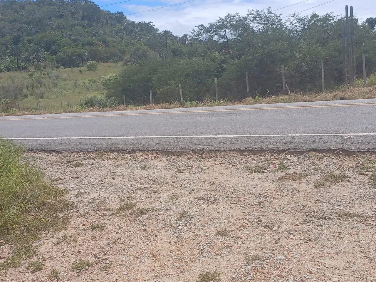 Terreno  - Foto 5